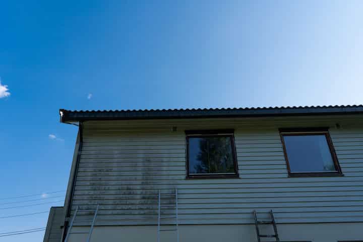 exterior mold removal services Lewiston